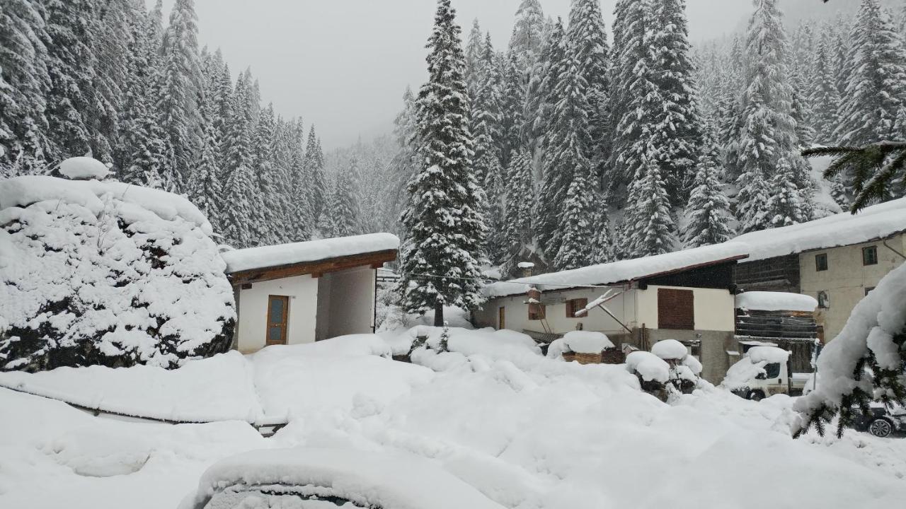 Apartamento Casa del bosco Canazei Exterior foto
